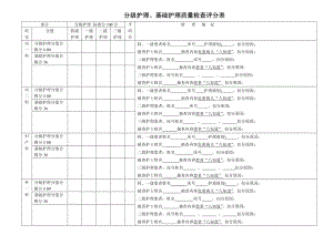 分级护理、基础护理质量检查评分表.doc