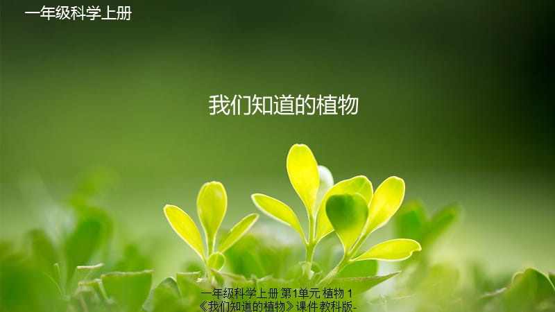 【最新】一年级科学上册 第1单元 植物 1《我们知道的植物》课件 教科版-教科级上册自然科学课件.pptx_第1页