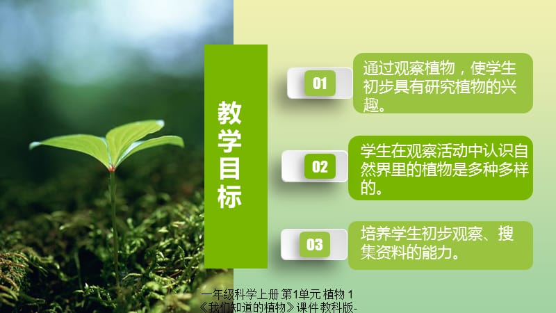 【最新】一年级科学上册 第1单元 植物 1《我们知道的植物》课件 教科版-教科级上册自然科学课件.pptx_第2页