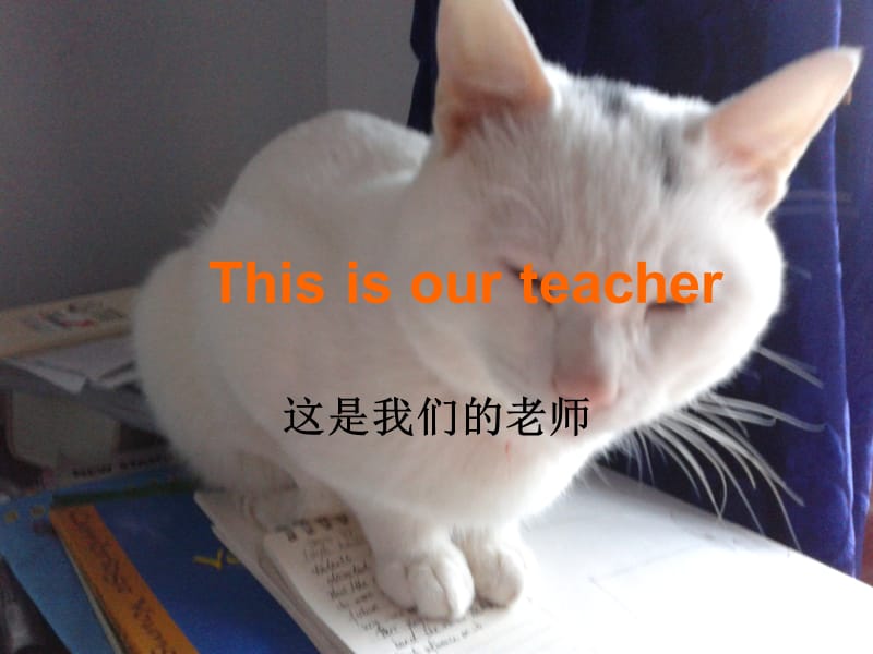 【最新】一年级英语上册 Module 5 Unit 1 This is our teacher课件2 外研版（一起）-外研级上册英语课件.ppt_第1页