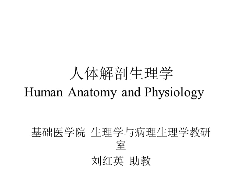 人体解剖生理学-消化系统.ppt_第1页
