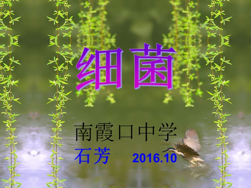 初中生物说课课件85906.ppt_第1页