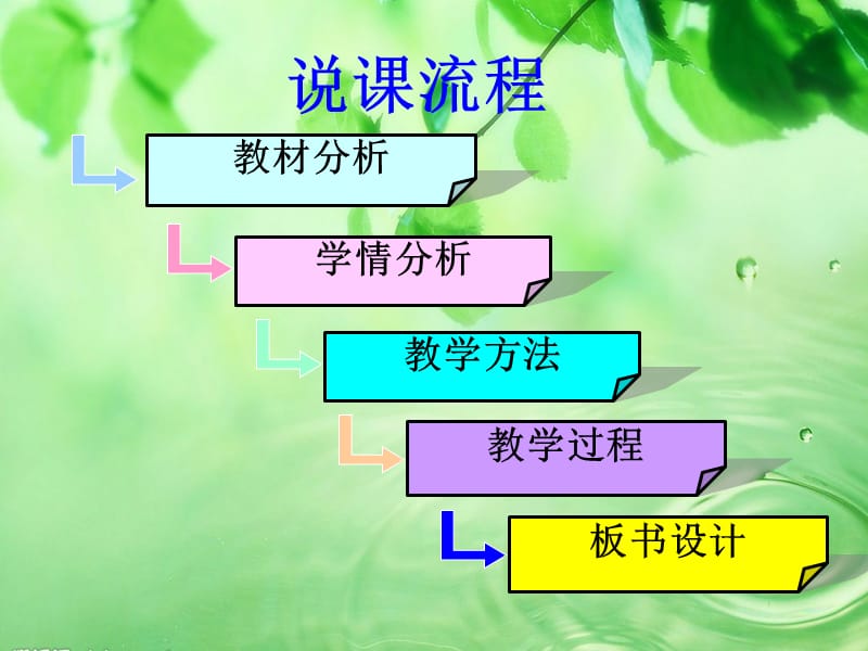 初中生物说课课件85906.ppt_第2页