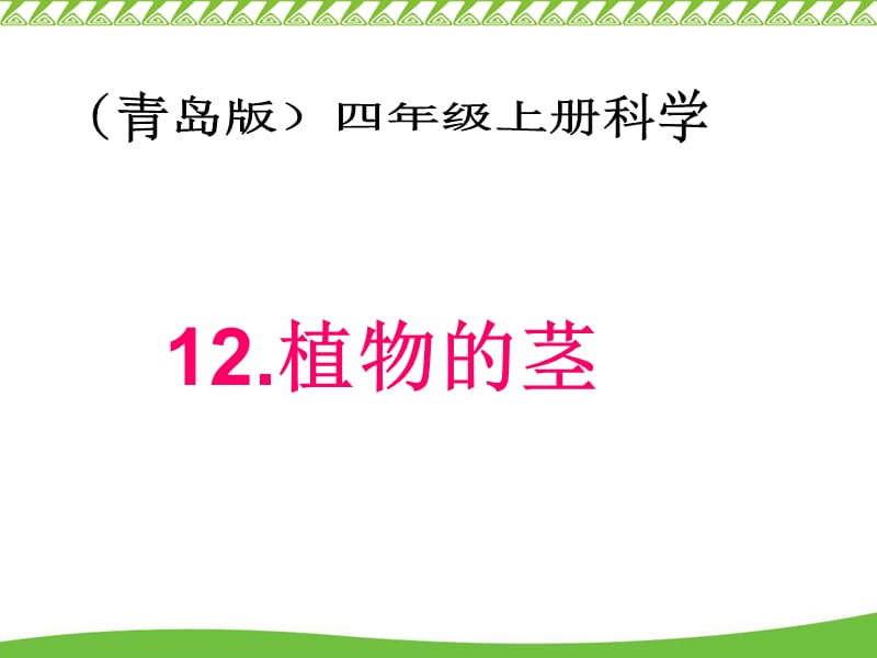 青岛版小学科学四年级上册第12课《植物的茎》 .ppt_第1页