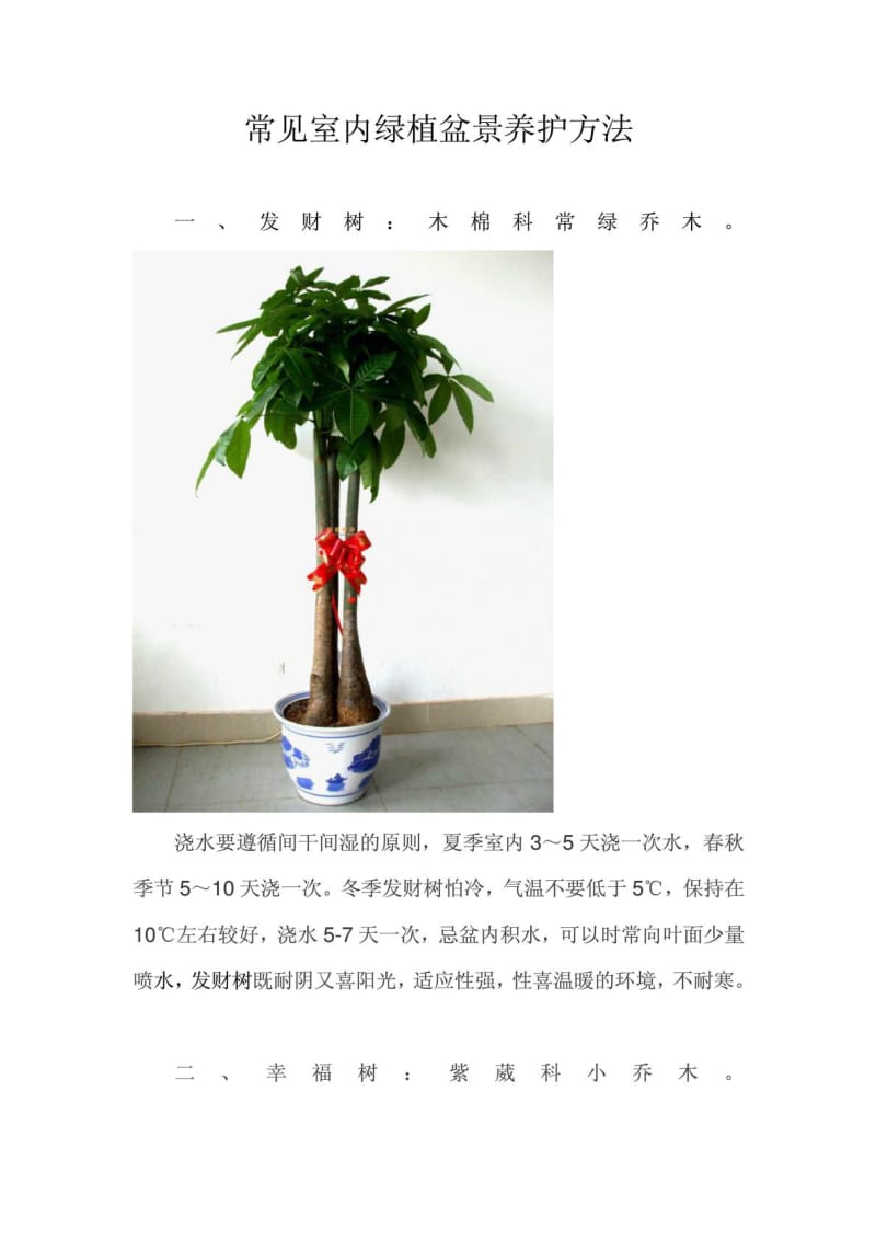 罕见室内绿植花草盆景养护方法[精彩].doc_第2页