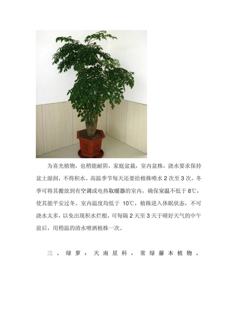 罕见室内绿植花草盆景养护方法[精彩].doc_第3页