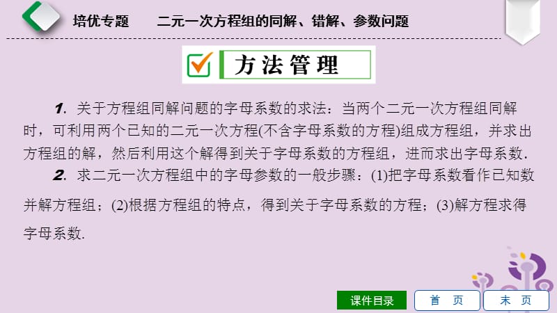 2019年春七年级数学下册 第八章 二元一次方程组 培优专题 二元一次方程组的同解、错解、参数问题课件 （新版）新人教版.ppt_第3页