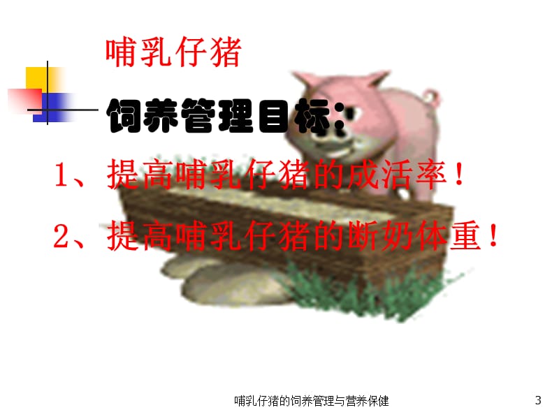 哺乳仔猪的饲养管理与营养保健课件.ppt_第3页