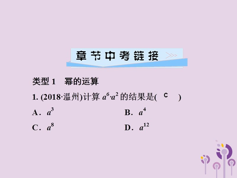 2019春七年级数学下册 第2章《整式的乘法》单元综合复习（二）整式的乘法习题课件 （新版）湘教版.ppt_第2页