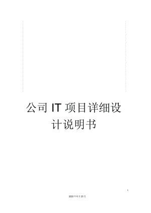 公司IT项目详细设计说明书.docx