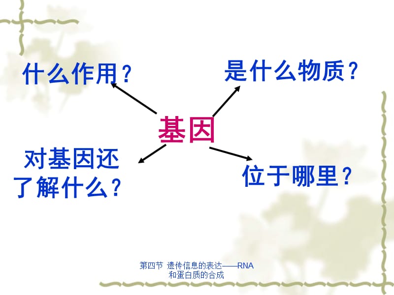 第四节遗传信息的表达——RNA和蛋白质的合成.ppt_第2页