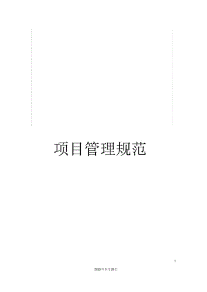 项目管理规范.docx