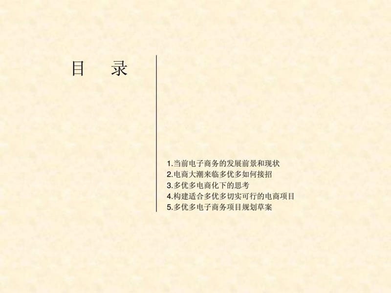 多优多电商运营规划课件.ppt_第2页