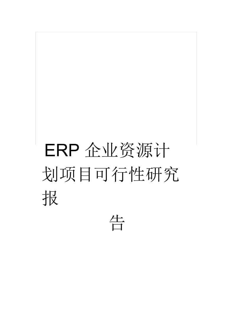 ERP企业资源计划项目可行性研究报告.docx_第1页