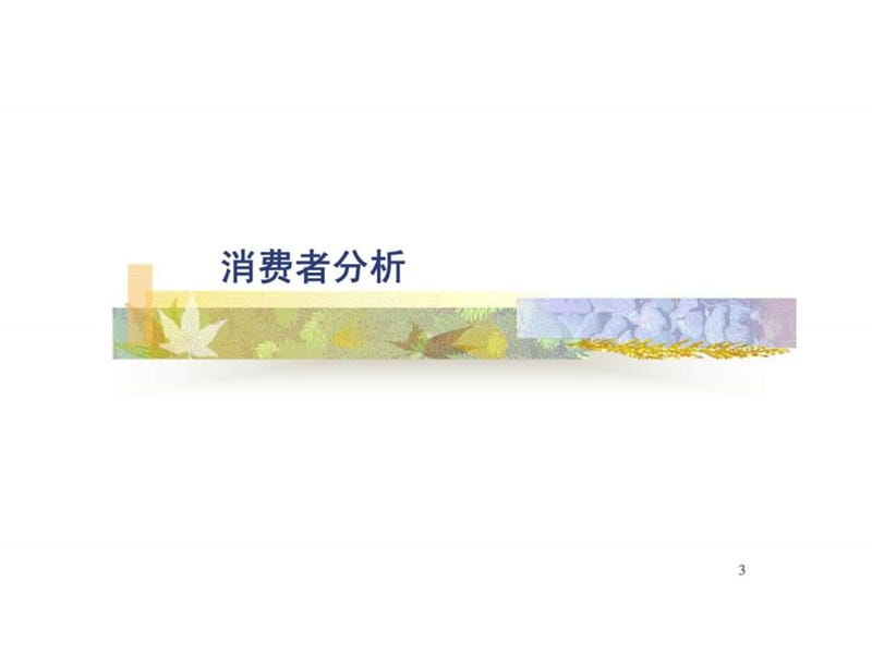 广州珠江骏景品牌传播策划方案课件.ppt_第3页