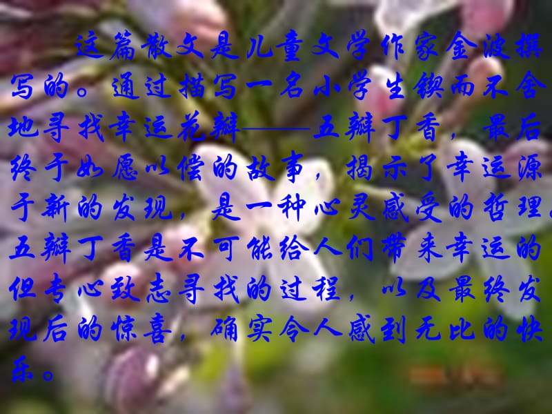 西南师大版六年级语文下册《七单元25 寻找幸运花瓣儿》课件_5.ppt_第2页