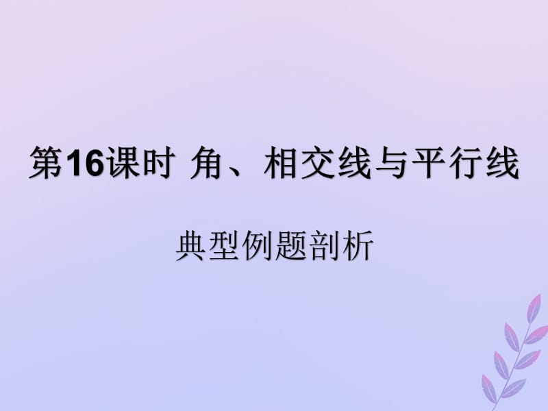 （遵义专用）2019届中考数学复习 第16课时 角、相交线与平行线 3 典型例题剖析（课后作业）课件.ppt_第1页