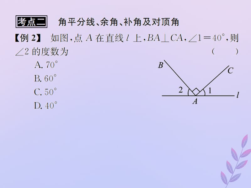 （遵义专用）2019届中考数学复习 第16课时 角、相交线与平行线 3 典型例题剖析（课后作业）课件.ppt_第3页