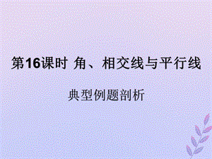 （遵义专用）2019届中考数学复习 第16课时 角、相交线与平行线 3 典型例题剖析（课后作业）课件.ppt