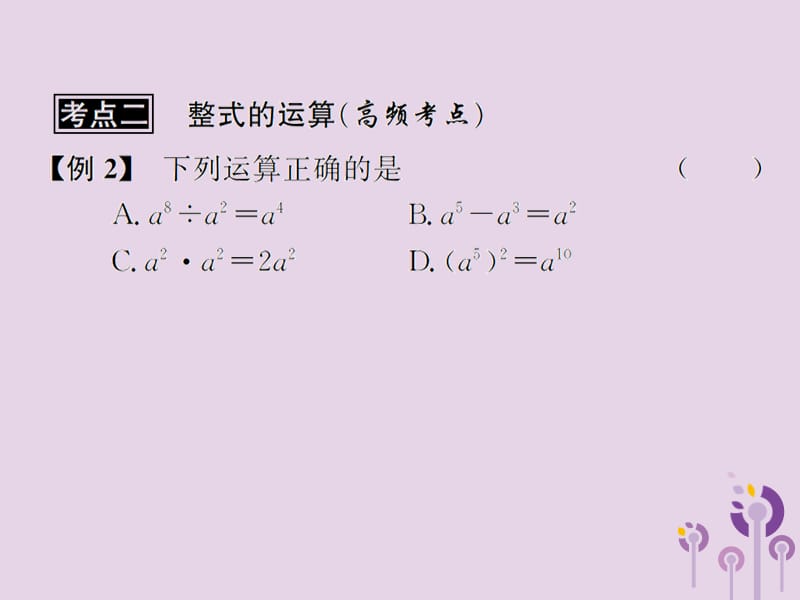 （遵义专用）2019届中考数学复习 第3课时 整式及因式分解 3 典型例题剖析（课后作业）课件.ppt_第3页