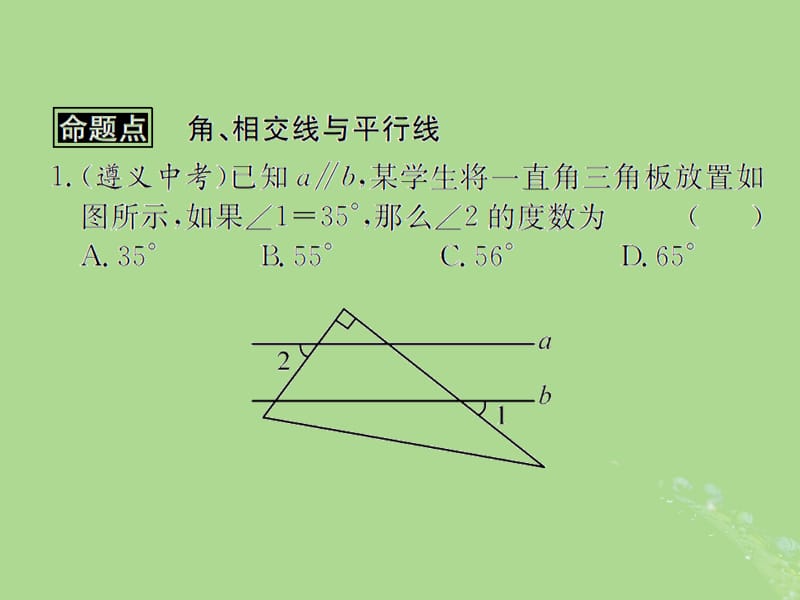 （遵义专用）2019届中考数学复习 第16课时 角、相交线与平行线 2 遵义中考回放（课后作业）课件.ppt_第2页