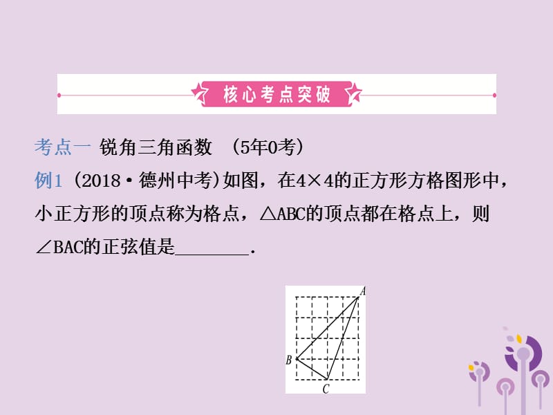 （潍坊专版）2019中考数学复习 第1部分 第四章 几何初步与三角形 第六节 解直角三角形及其应用课件.ppt_第2页