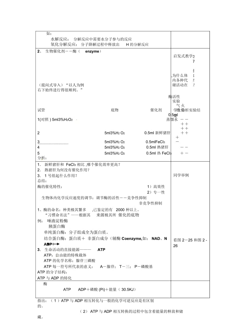 2019最新沪科版生物第一册第一节《生物体内的化学反应》教案.docx_第2页