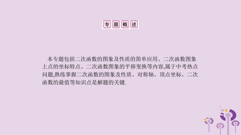 2019春九年级数学下册 第二章 二次函数 小专题（三）二次函数的图象与性质课件 （新版）北师大版.pptx_第2页