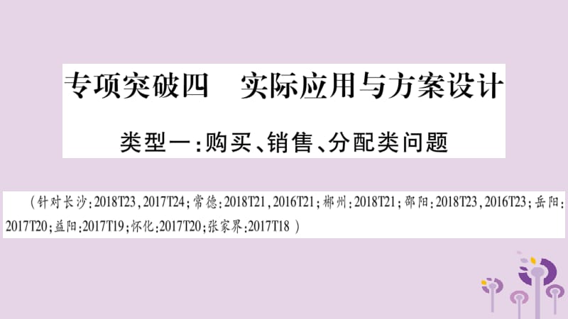 湖南省2019年中考数学复习 第二轮 中档题突破 专项突破4 实际应用与方案设计导学课件.pptx_第1页