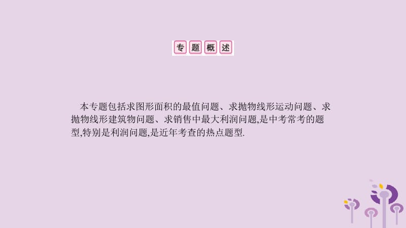 2019春九年级数学下册 第二章 二次函数 小专题（四）二次函数的应用课件 （新版）北师大版.pptx_第2页