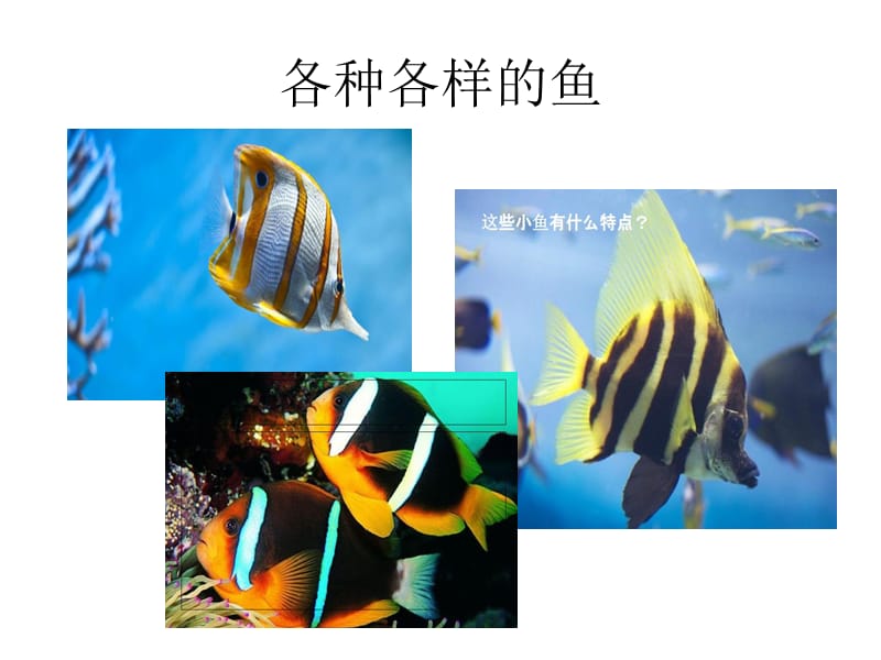 小学综合实践活动《息技术10.数字声音与生活》优质课件_19.ppt_第3页