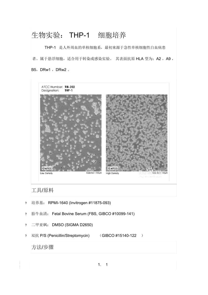 THP-1细胞培养.docx_第1页