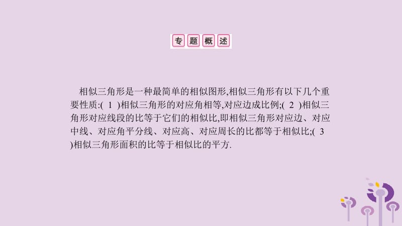 2019春九年级数学下册 第二十七章 相似 小专题（二）利用相似三角形的性质解决几何问题课件 （新版）新人教版.pptx_第2页