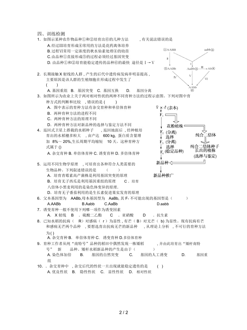 人教版必修二第1节《杂交育种与诱变育种》学案.docx_第2页