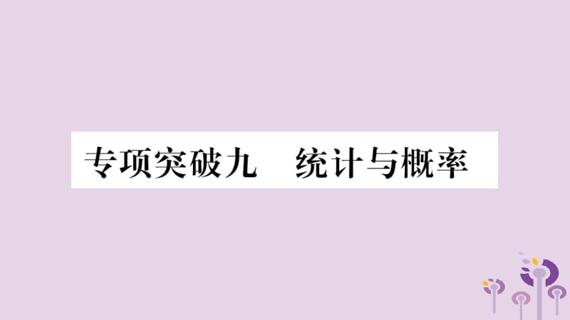 湖南省2019年中考数学复习 第二轮 中档题突破 专项突破9 统计与概率习题课件.pptx_第1页