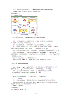 免疫球蛋白2-第二节-免疫球蛋白的生物学活性.docx