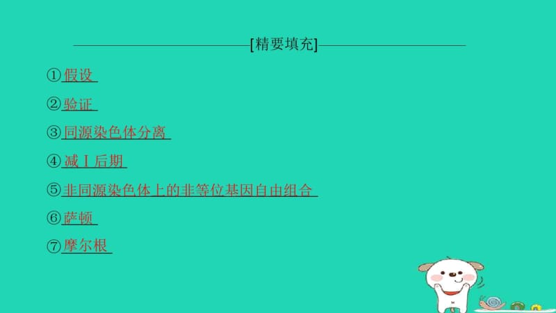 2019版全国高考生物第一轮复习第5单元遗传定律和伴性遗传单元网络构建.docx_第3页