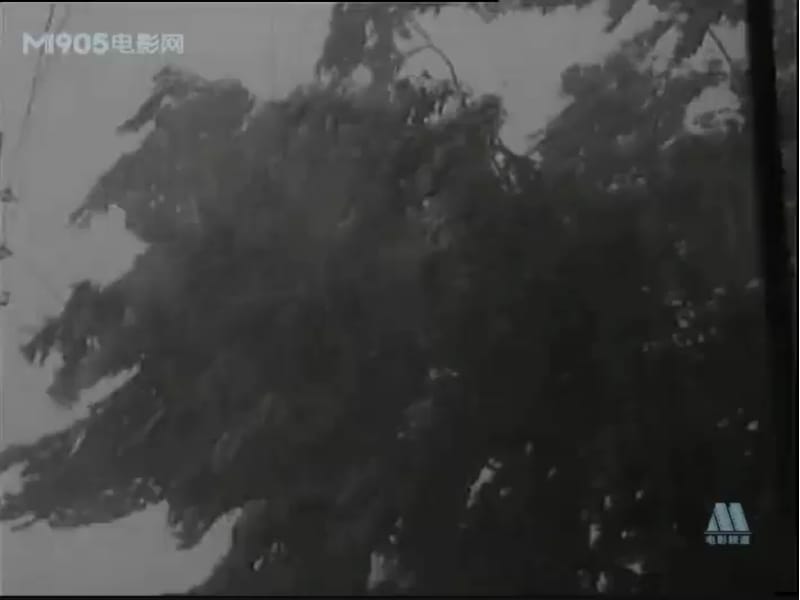 小学综合实践活动《会服务活动3.学习身边的小雷锋》优质课件_15.ppt_第2页