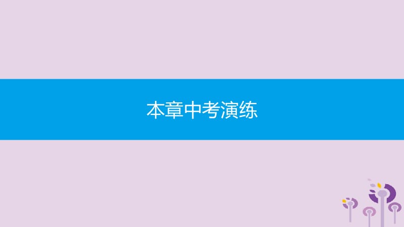 2019春九年级数学下册 第二十七章 相似本章中考演练课件 （新版）新人教版.pptx_第1页