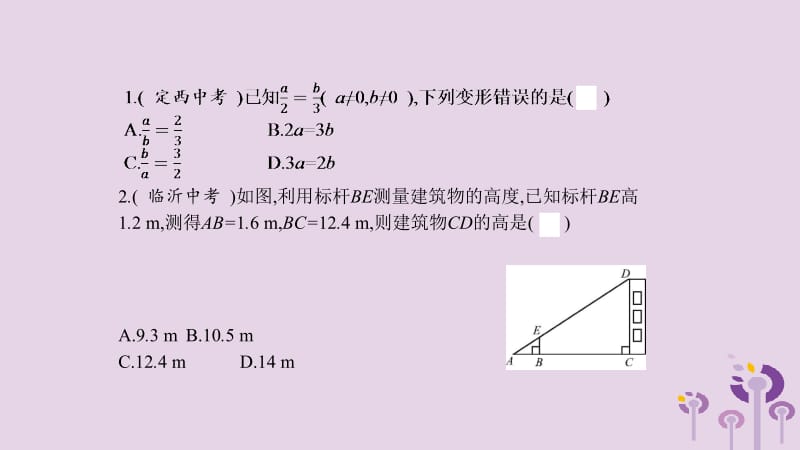 2019春九年级数学下册 第二十七章 相似本章中考演练课件 （新版）新人教版.pptx_第2页