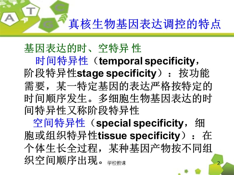 基因表达的概念及特点[教师助手].ppt_第2页