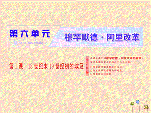 2018-2019学年高中历史 第六单元 穆罕默德&#8226;阿里改革 第1课 18世纪末19世纪初的埃及课件 新人教版选修1.ppt