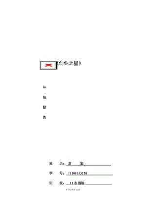 【精品】《创业之星》报告.DOCX