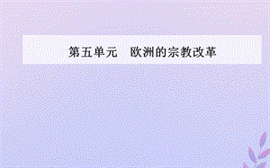 2019秋高中历史 第五单元 欧洲的宗教改革 第3课 宗教改革运动的扩展课件 新人教版选修1.ppt