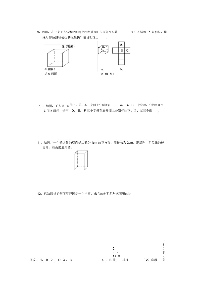 北师大版七年级上册§1.2展开与折叠.docx_第2页