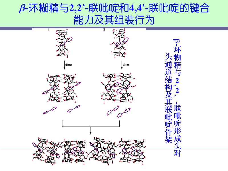 基于环糊精的分子组装.ppt_第3页