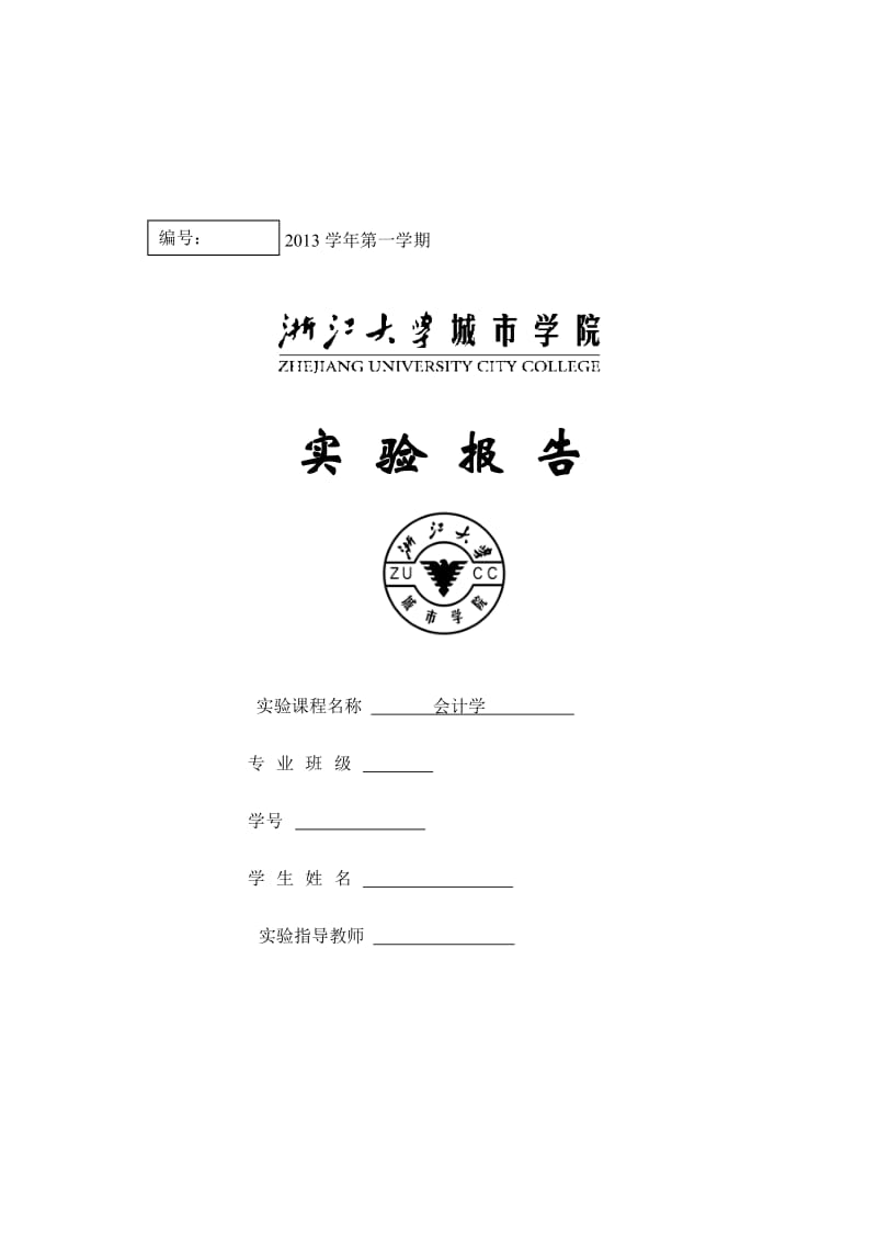 会计实验报告 手工帐.doc_第1页