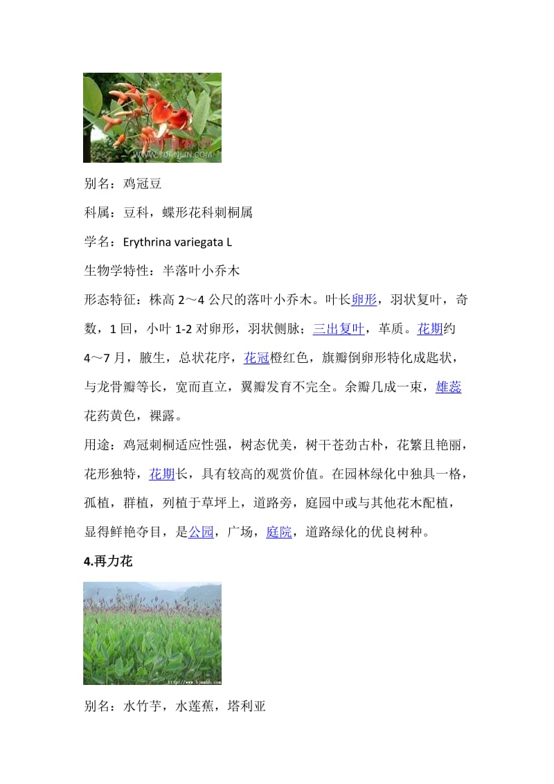 常见园艺植物识别.doc_第3页