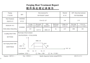 锻件热处理报告.doc