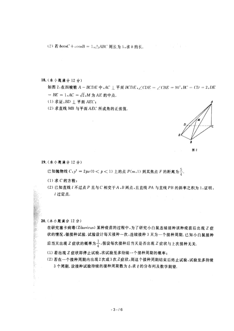 山东省临沭第一中学2019届高考数学元月模拟试题理扫描版.docx_第3页